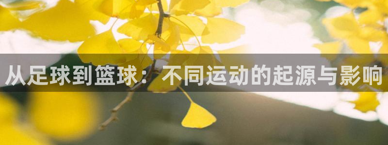 搜球體育CCT5