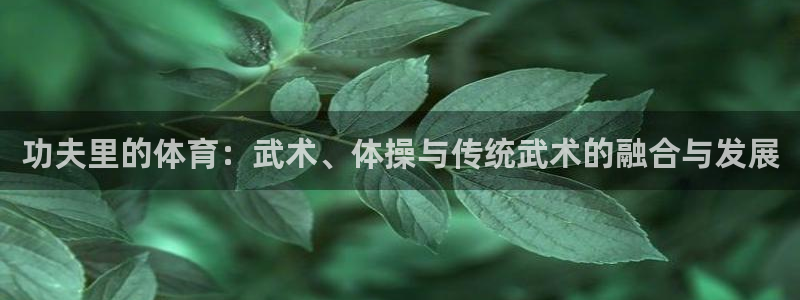 搜球體育下載：功夫里的體育：武術、體操與傳統武術的融合與發展