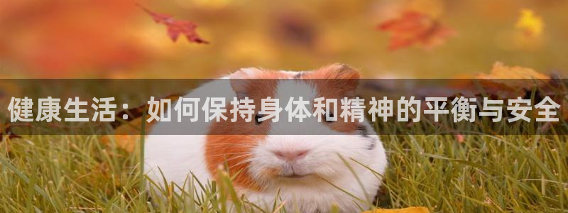 搜球體育官網網址：健康生活：如何保持身體和精神的平衡與安全